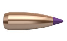 Nosler Ogives Ballistic Tip Varmint 6mm 55gr x100