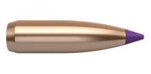 Nosler Ogives Ballistic Tip Varmint 6mm 80gr x100