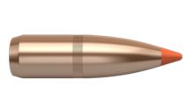 Nosler Bullets Ballistic Tip Varmint 22 cal 60gr Cann .495 x100 
