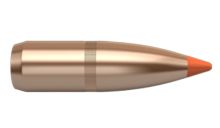 Nosler Bullets Ballistic Tip Varmint 22 cal 60gr Cann .495 x250