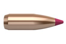 Nosler Bullets Ballistic Tip Varmint 20 (204) cal 40gr x250