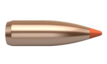 Nosler Bullets Ballistic Tip Varmint 22 cal 55gr x100