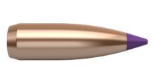 Nosler Ogives Ballistic Tip Varmint 6mm 70gr x100
