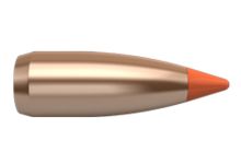 Nosler Bullets Ballistic Tip Varmint 22 cal 40gr x250