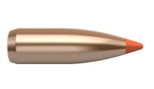 Nosler Bullets Ballistic Tip Varmint 22 cal 55gr x250