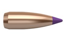 Nosler Ogives Ballistic Tip Varmint 6mm  55gr x250 