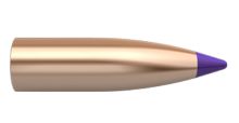 Nosler Bullets  Ballistic Tip Lead Free 6mm 55Grx100