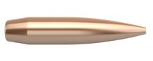 Nosler Bullets Custom Competition 6mm 107gr HPBT x100