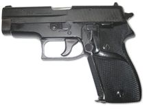 Pachmayr Signature Grips with Back Straps Sig P225  P225
